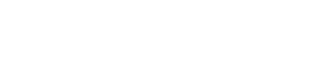 WORDPRESS LOGO SEO